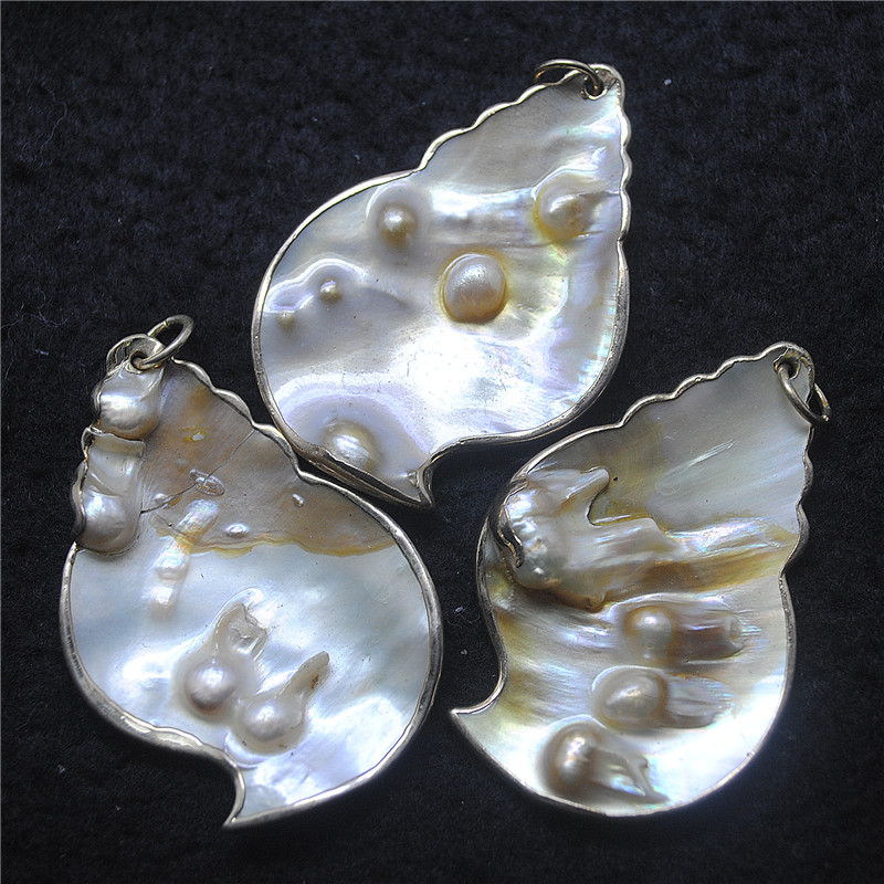 3PCS Natuur Shell Hangers Pare - Women Fashion Nz recensie en prijs