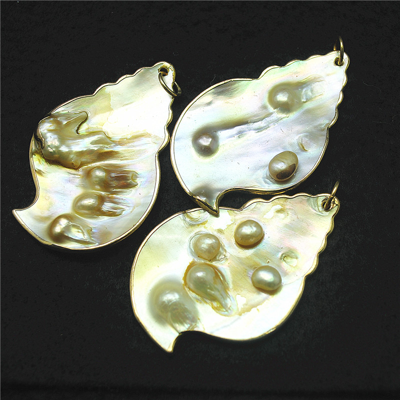 3PCS Natuur Shell Hangers Pare - Women Fashion Nz recensie en prijs