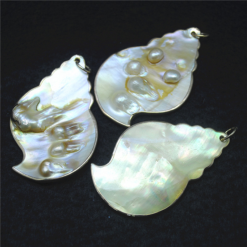 3PCS Natuur Shell Hangers Pare - Women Fashion Nz recensie en prijs