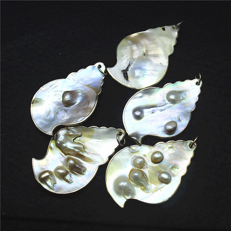 3PCS Natuur Shell Hangers Pare - Women Fashion Nz recensie en prijs